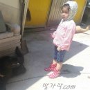 다희 민박 이미지