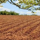 미문농장 이미지