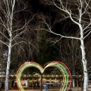 뉴동광카프라자 | [강원_평창] 모나 용평 스키장 두번째 스키강습 후기와 발왕산 일루미네이션