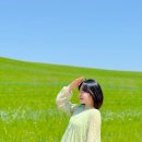 떠오르는 볼거리 고창 학원관광농원 청보리밭 축제 실시간 후기