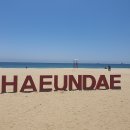 해운대로 626 이미지