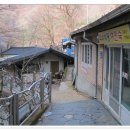 청심여인숙 티스토리