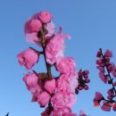 산마루카페 이미지