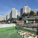 중앙동290 이미지