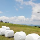 신종목장 이미지