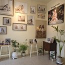 학하남로 | 대전 만삭촬영 후기 더내츄럴스튜디오 아기성장앨범 계약 완료