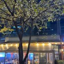 눈꽃을나누다 이미지