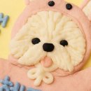 일산 슈퍼멍멍 네이버블로그