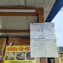 굴앞주유소 | 마산 구산면 원조반동굴구이 바다앞에서먹는 돌장어+조개구이 내돈내산 솔직후기