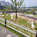 공원 빈대떡 이미지