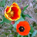 서산중앙병원 이미지