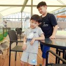 강아지테마파크 이미지