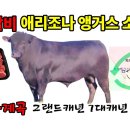 블랙 앵거스 소고기 🥩 LA갈비 세도나 계곡 피크닉 그랜드캐년 7대캐년 가는길(3) 이미지