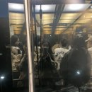 본부동 화장실 이미지