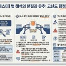 [2026EBS수특] 법 해석의 본질과 유추 이미지