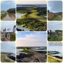 꽃길만걷자6 이미지