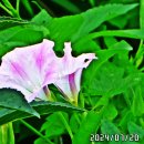 중대물빛공원 이미지