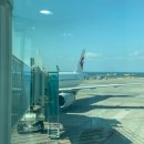 5060 여행영어 | [이집트] 중국동방항공 상해 레이오버 | 입국신고 마그레브 푸동공항 라운지 기내식 후기 상하이 경유 여행