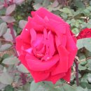 성서도서관 이미지