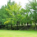 세성초 향산분교 이미지