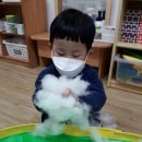 하얀솜 이미지