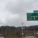 녹동동물병원 네이버블로그