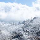 스마트폰 여행 영상 촬영 꿀팁 이미지