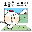 락스크린골프장 이미지