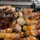 한특제주