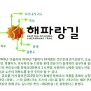 대청리조텔 이미지