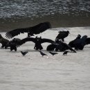 우곡식당 이미지