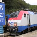 엘호텔 이미지