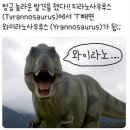 (주)담음 이미지
