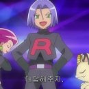 센트럴 펫살롱 이미지