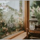 성미의집 이미지