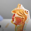 더원보청기 | 대구#더원이빈후과#비중격만곡증수술기#후회없는병원선택