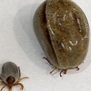 배박사 동물병원 이미지