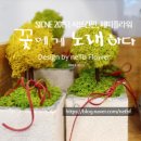 디아모스 이미지