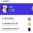 헤어멍펫살롱 | 네이버 펫 바우처 사용해서 로얄캐닌 브리티쉬 숏 헤어 저렴하게 구매 하기