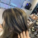 나비드헤어 이미지