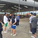 친환경한우농장 이미지