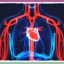 이펜약국 이미지