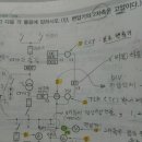 87, 비율차동계전기? 전류차동계전기? 이미지