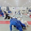 용인대 현풍 유도&주짓수 이미지