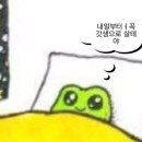 가마솥닭강정 이미지