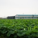 연자농장 이미지