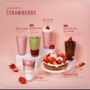 민트핸즈 | [카페] 대구 달성 송해공원 카페 핸즈커피 솔직 후기 | 산책 후 들르기 좋은 카페 추천