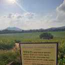 나라네농장 | 고창여행 보리나라학원농장 방문후기