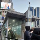 어사교차로 | 남대문 신세계 미디어 사파드 &amp; 명동 롯데 크리스마스 트리 투어