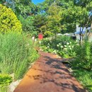 도윤목장 | 파주 야외정원이 이쁜 베이커리카페 막스시오지스페이스